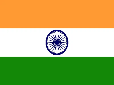 Hindistan Vizesi